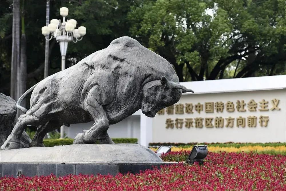 “深圳企业家日”，以城市之名致敬企业家插图1